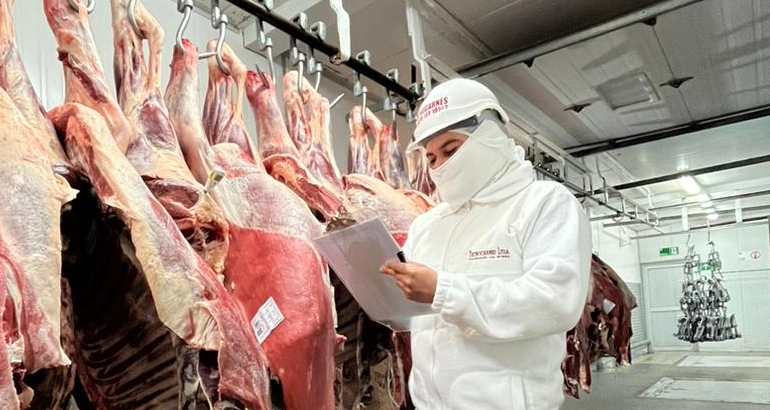 Profesional de Tecnocarnes inspeccionando canales